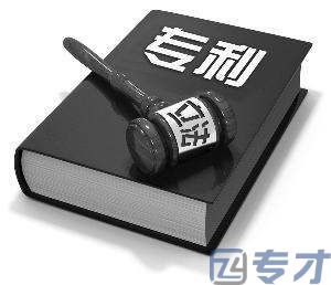 意大利专利申请号是什么,国际专利怎么申请(图2)
