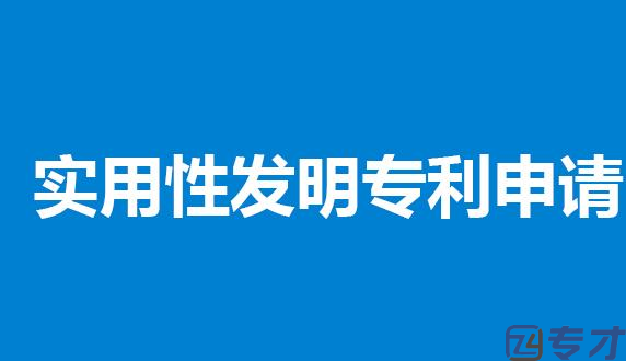 俄罗斯空调专利申请流程,专利申请流程及费用(图3)