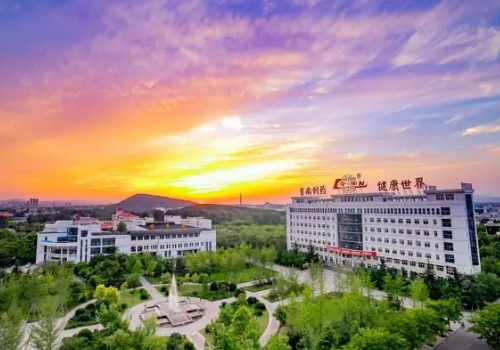 美国生物病毒专利申请时间多久,美国专利申请官费(图2)