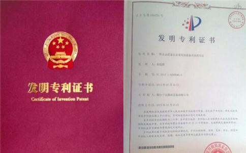欧盟发明专利申请补助多少钱,申请发明专利可加急吗(图2)