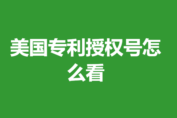 美国专利申请号的长度一共有