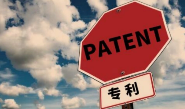 荷兰驳回专利申请时间规定是多久,荷兰专利含金量(图5)