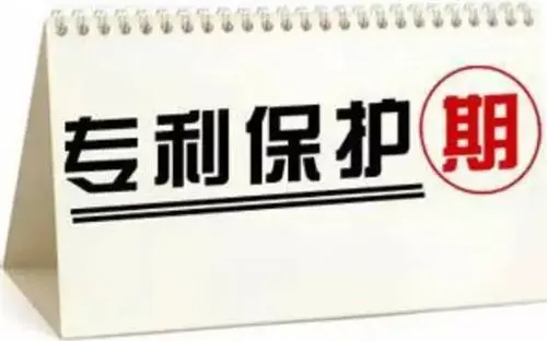 荷兰驳回专利申请时间规定是多久,荷兰专利含金量(图6)