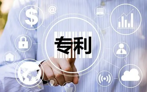 荷兰驳回专利申请时间规定是多久,荷兰专利含金量(图7)